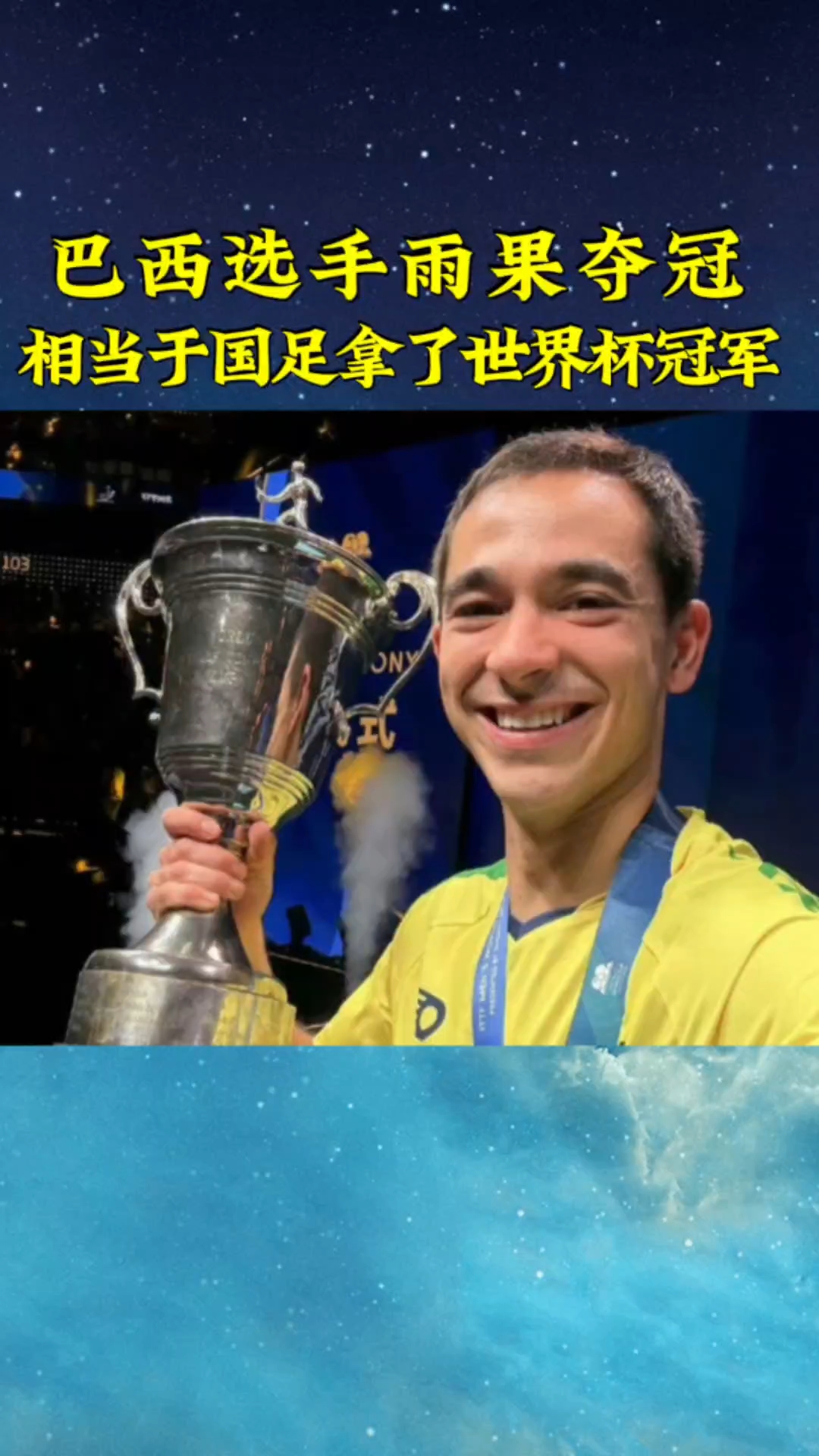 Brazil World Cup Champion (All 2014 World Cup Results)