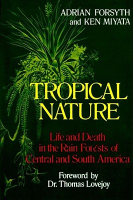 tropical(tropical tidbits numerical Chinese website)